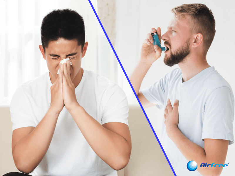 What Is the Difference Between Respiratory Allergy and Asthma? - Airfree SG